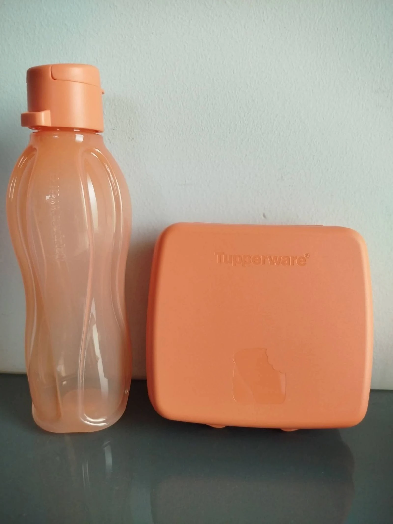 Garrafa 500ml et sandwichère